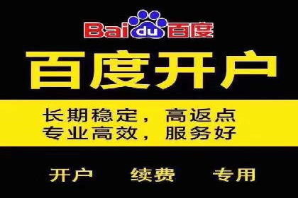 网络推广中竞价广告的投放策略及成功案例